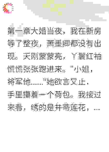 《将军夜宿舞姬我烧了他聘礼》