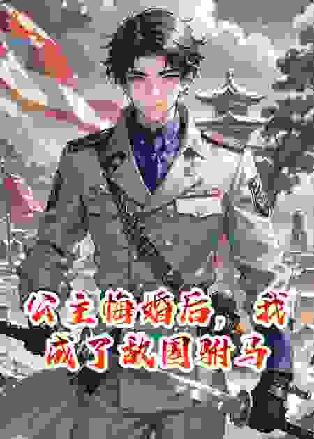 公主悔婚后，我成了敌国驸马