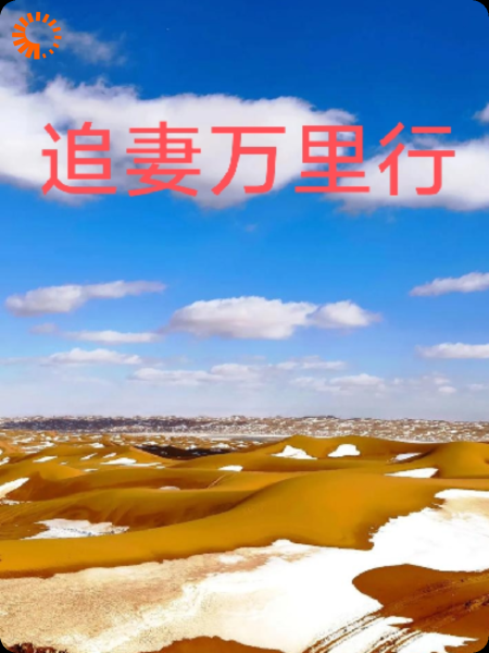 追妻万里行