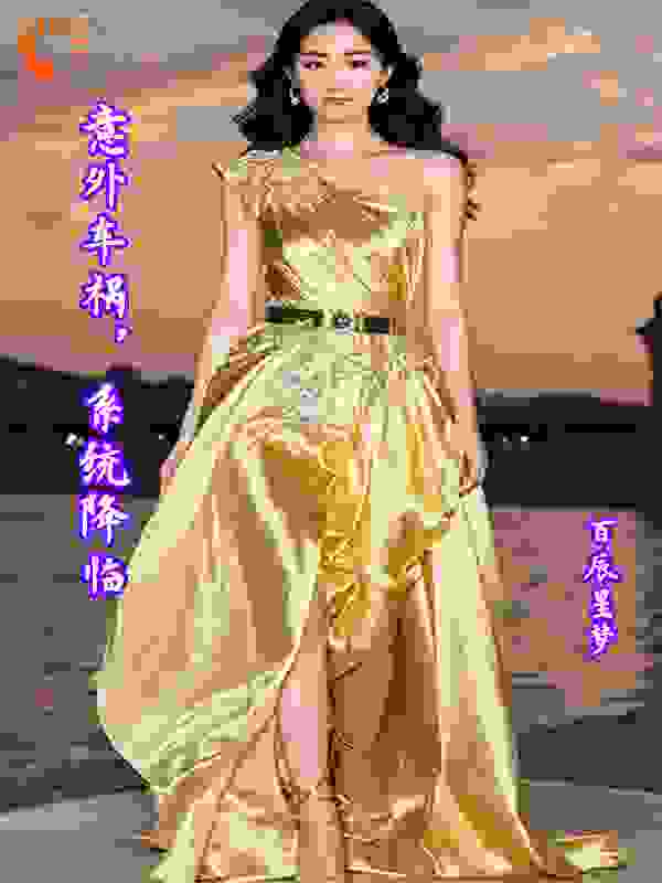 意外车祸，系统降临