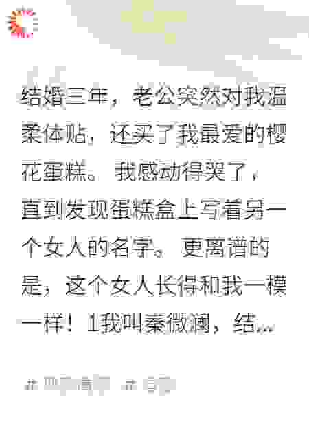 丈夫爱上整容成我的女特工