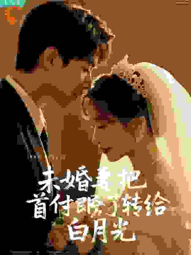 未婚妻把婚房首付转给了白月光