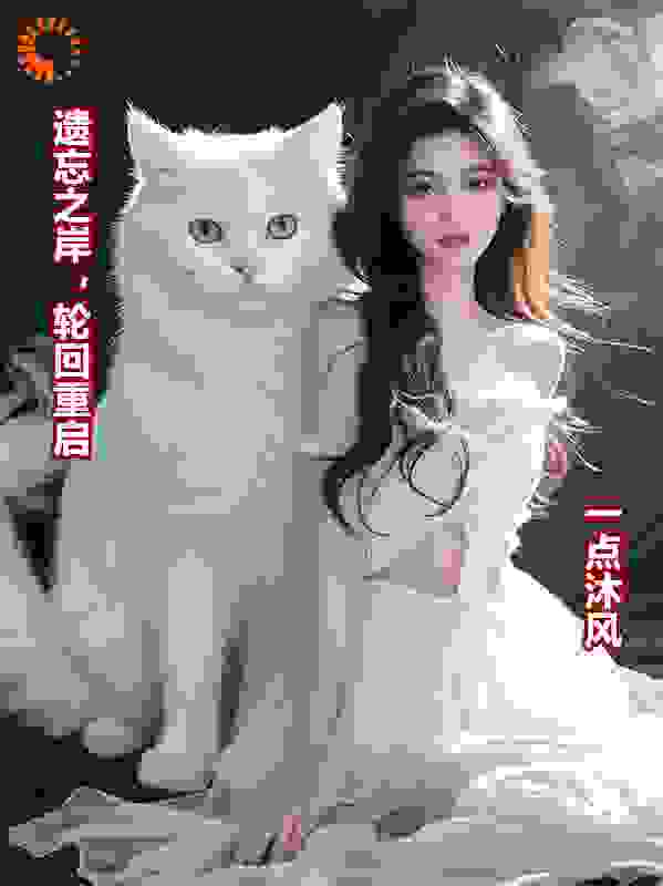 遗忘之岸，轮回重启