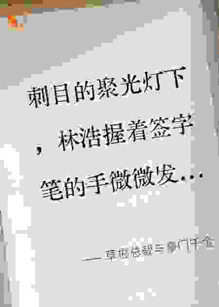 草根总裁与豪门千金