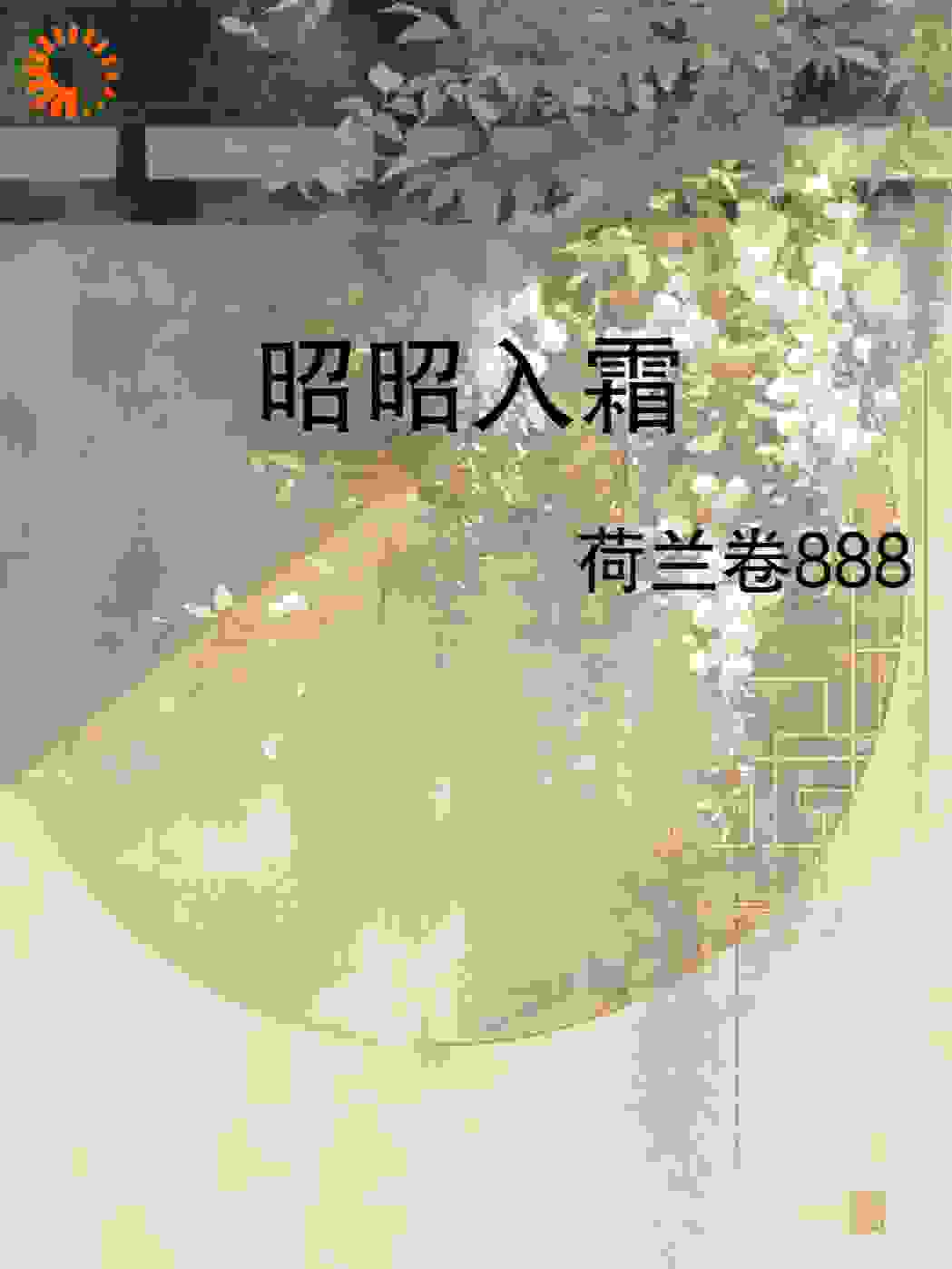 昭昭入霜