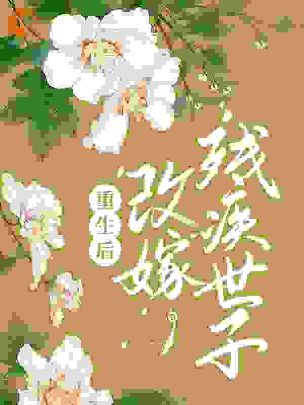 重生后，改嫁残疾世子