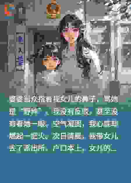 婆婆骂我女儿野种，我整治老妖婆
