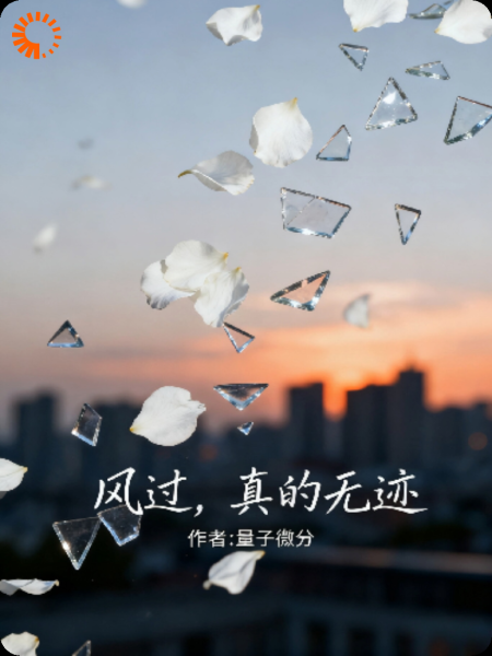 风过，真的无迹