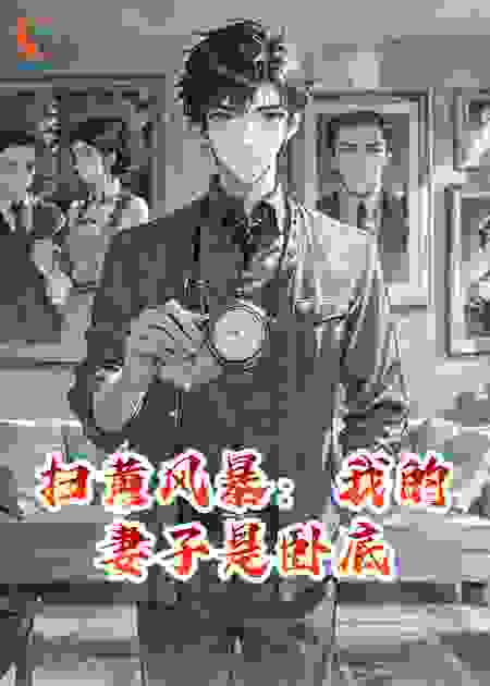 扫黄风暴：我的妻子是卧底
