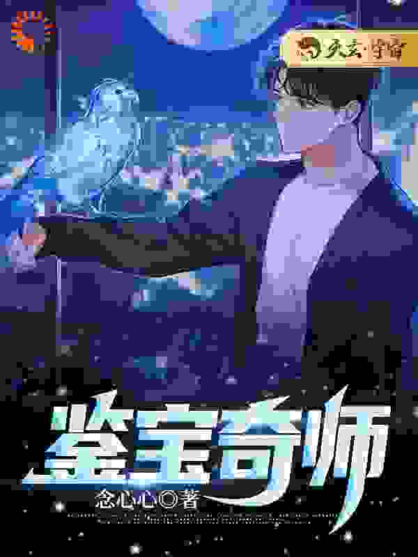 鉴宝奇师