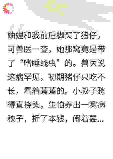 出栏前，我听见了病猪的心声