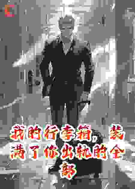 我的行李箱，装满了你出轨的全部证据